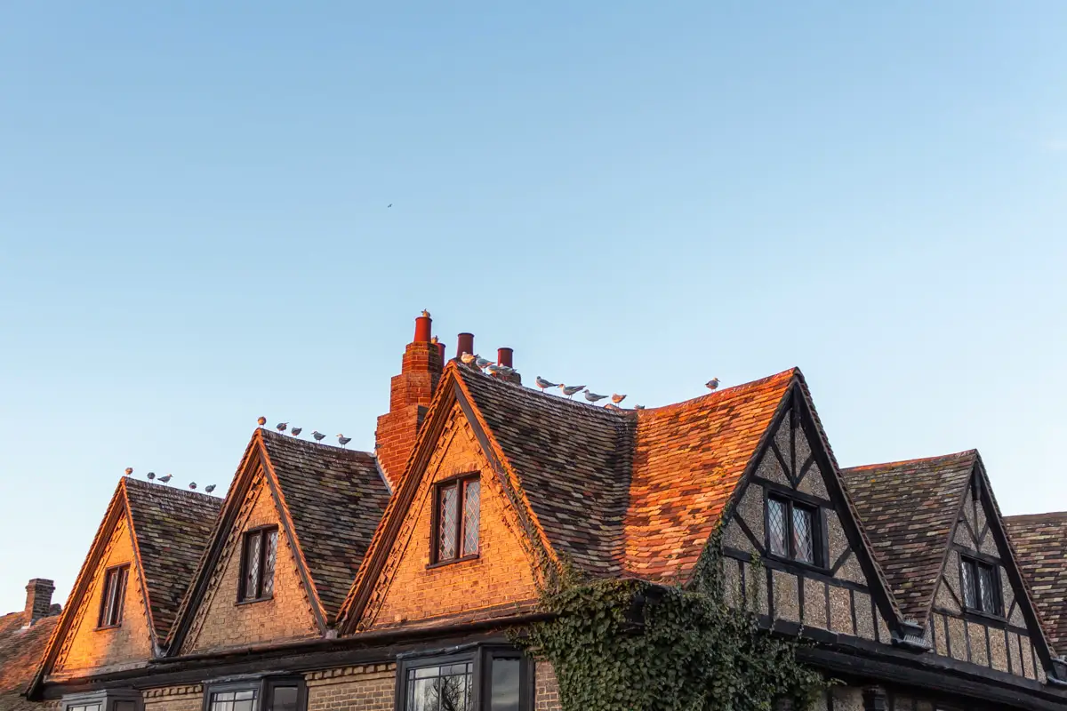 Beautiful house during sunset with seagulls on the roof - featured image for things to do in St Ives