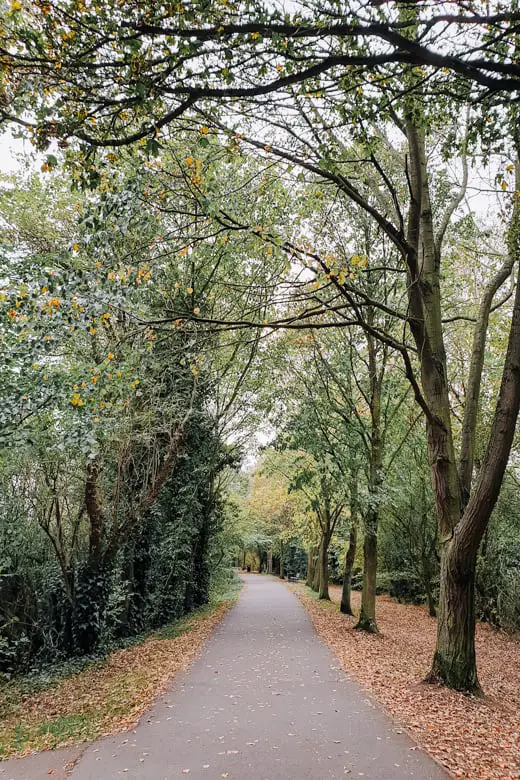 Walks in and around St Ives, Cambridgeshire - Thicket Path, St Ives