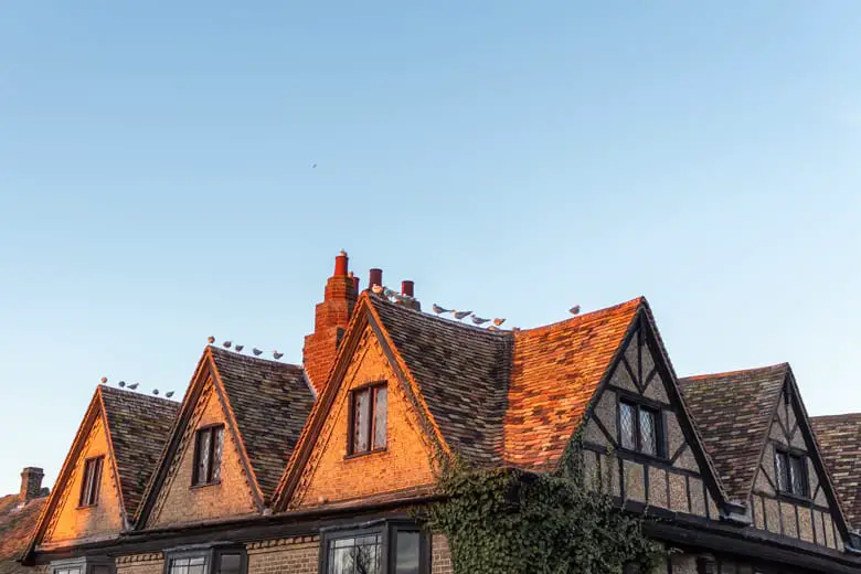 Walks in and around St Ives, Cambridgeshire - beautiful house during sunset with seagulls on the roof