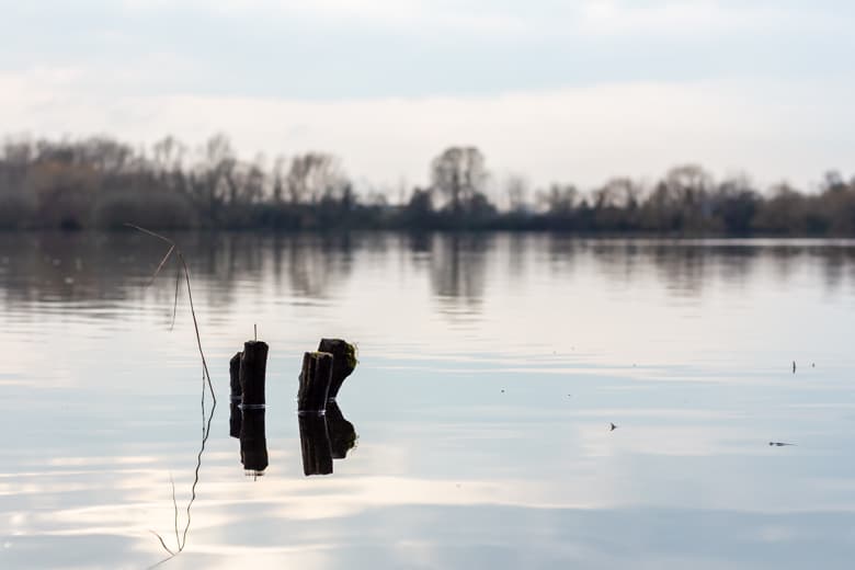 Walks in and around St Ives, Cambridgeshire - lake with trees behind it in Hemingford