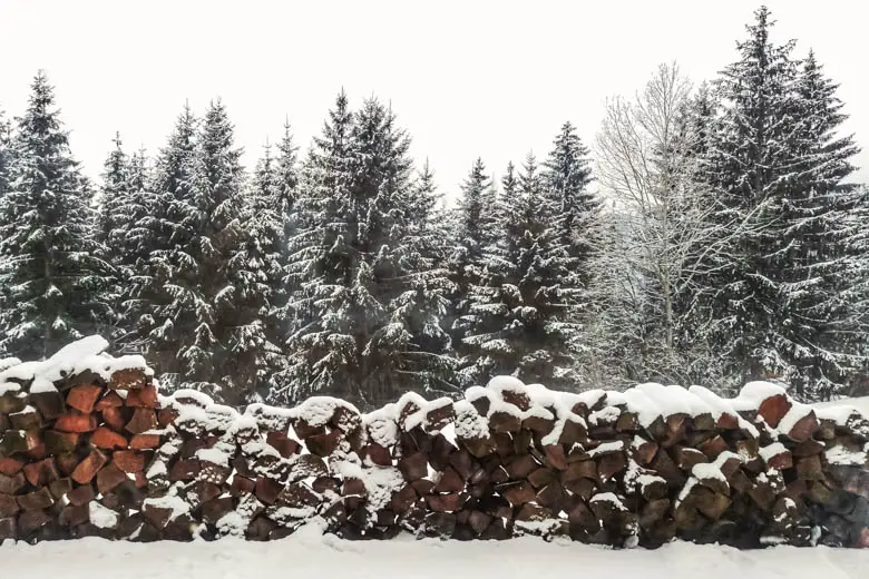 Piles of wood covered in snow with pine forest behind them - how to get into the Christmas spirit