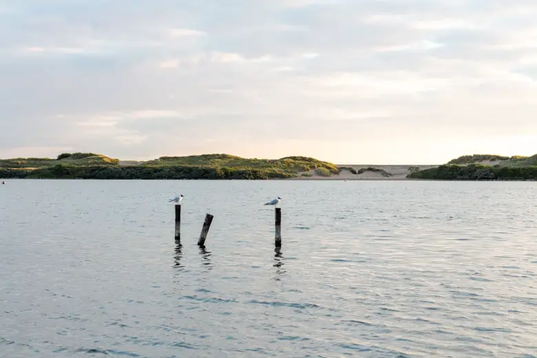 Guide to Crosby Beach nearest beach to Liverpool GIRL IN PAPERTOWN